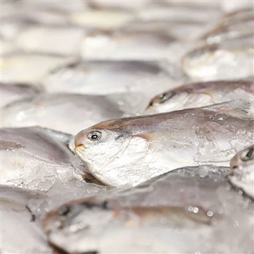 Китай е изнесъл продукти от водни и морски дарове за 2,951 милиарда щатски до...