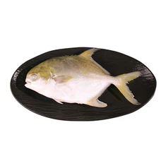 Golden Pompano Fish за пазар