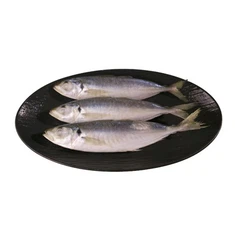 Риба Паранг