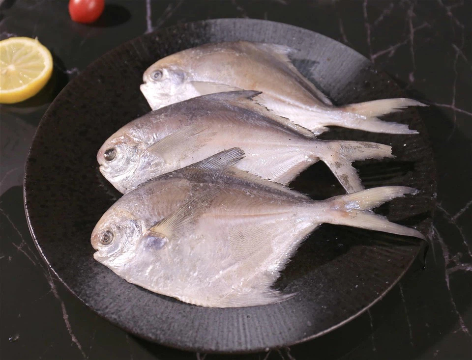 Замразено плъзгане Pompano